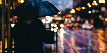 开云真人-_春季花海：在花园中举行的浪漫赛事_，花海集锦