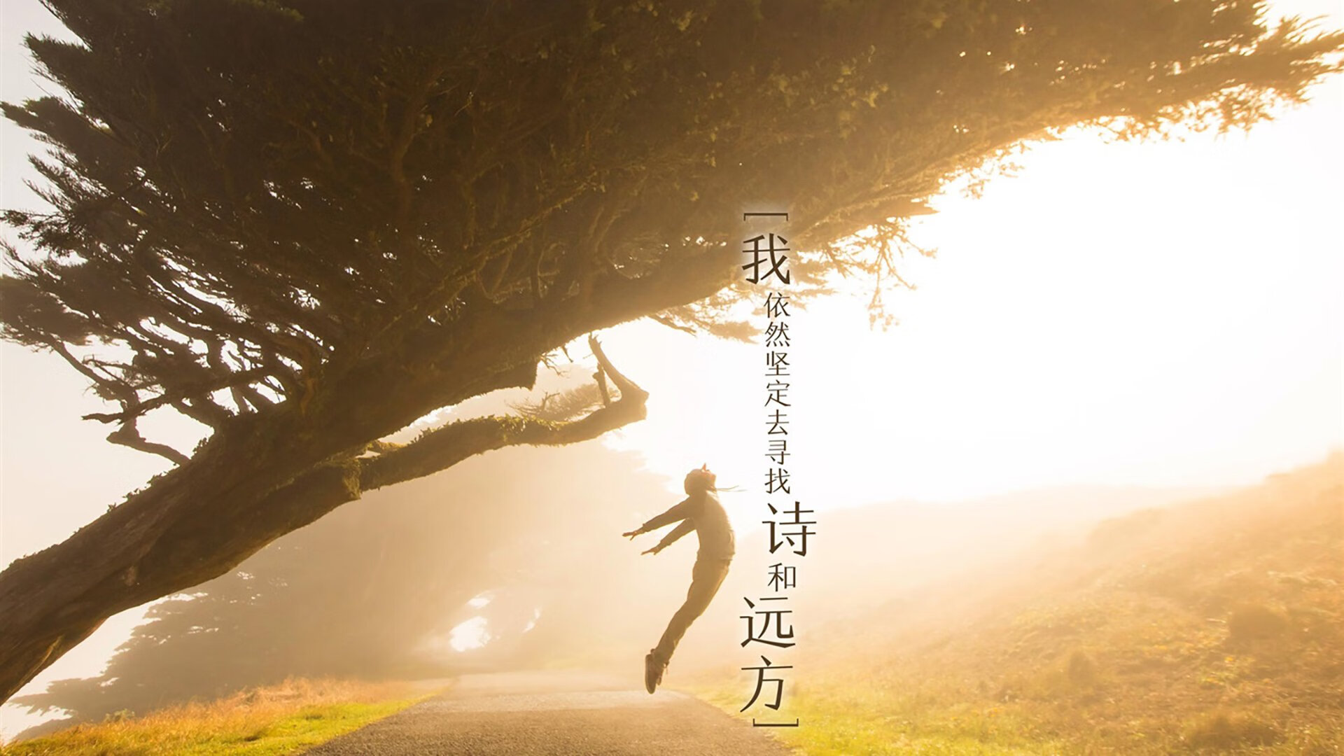 kaiyun 开云体育-北京国安客场表现稳健,积分稳步攀升,北京国安客场队服