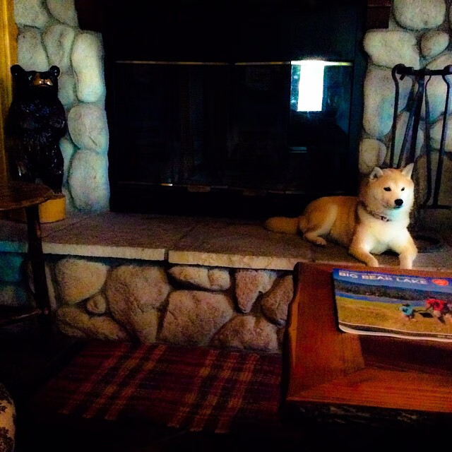 开云体育官网登入-学校足球“名师+名队+名赛”联动，青训体系逐步完善，学校足球队名字有创意好听